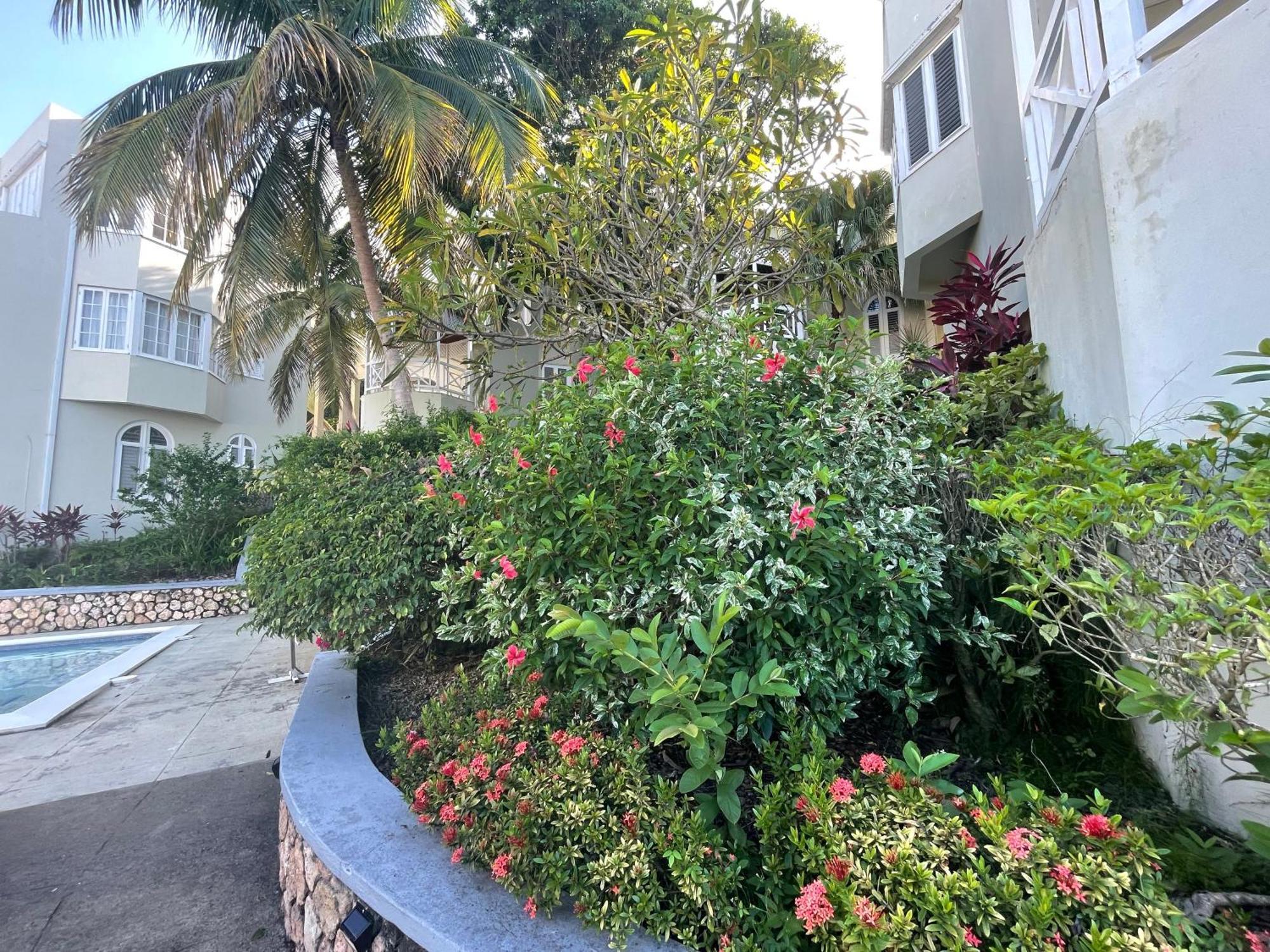 Oceanbreeze Jamaica Penthouse, 7-Minute Walk To Beach Ocho Rios Exteriér fotografie